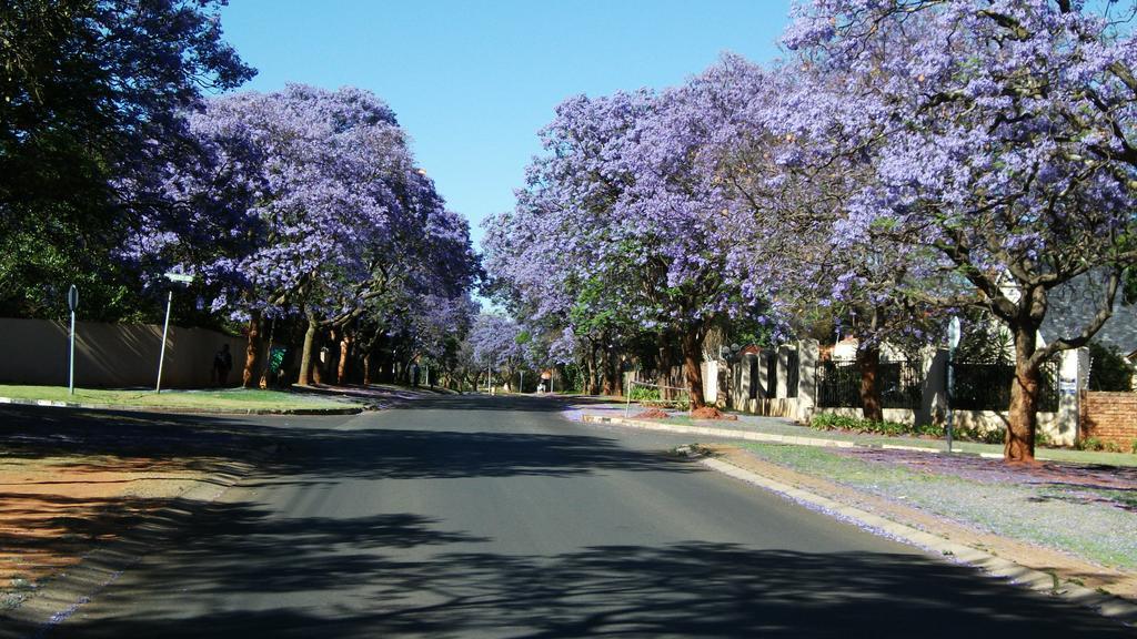 Northcliff Bed And Breakfast Randburg Экстерьер фото